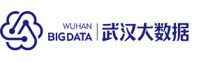 武汉大数据产业发展有限公司